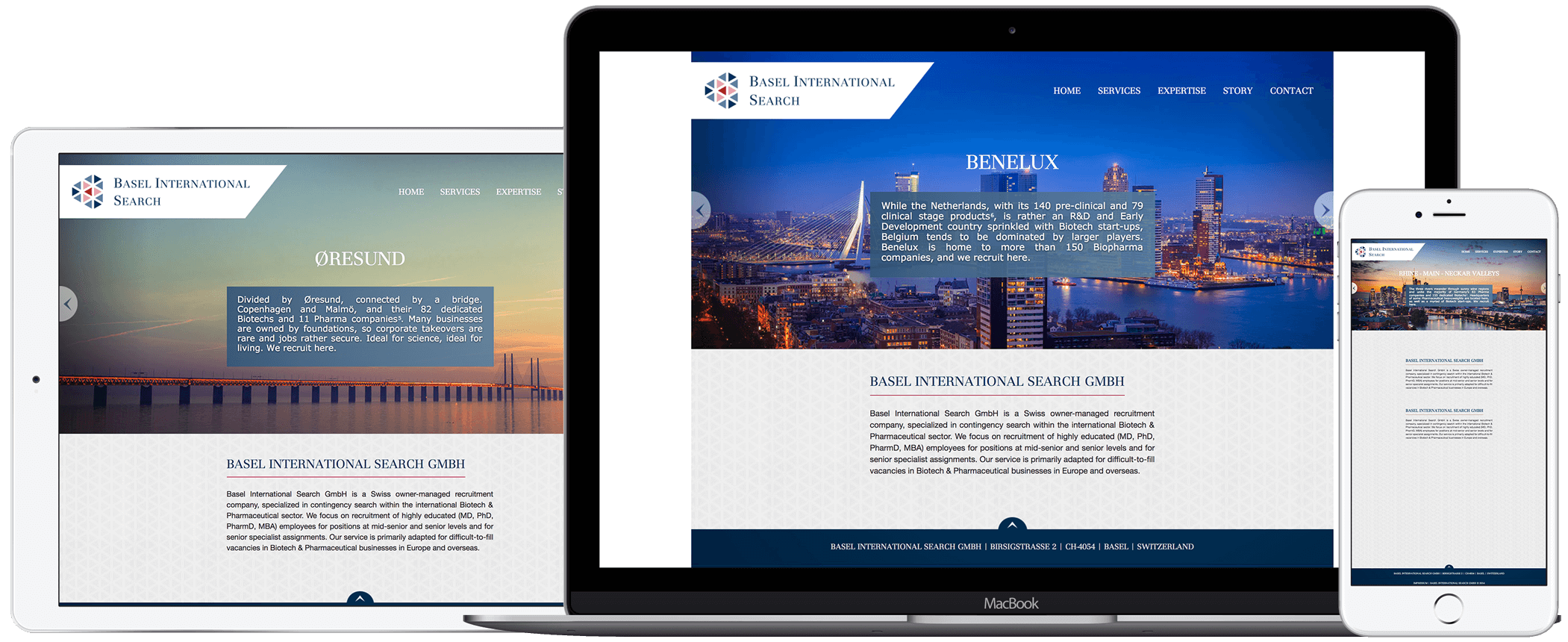 Šveitsi ettevõtte veebisaidi arendamine