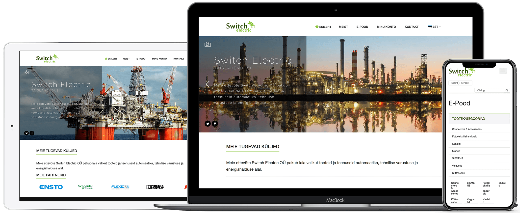 Screenshot of Switch-Electric's homepage designed by iWeb